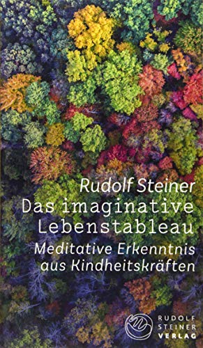 Das imaginative Lebenstableau: Meditative Erkenntnis aus Kindheitskräften (Thementexte) von Steiner Verlag, Dornach